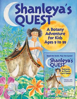 Shanleya's Quest book and card game.
